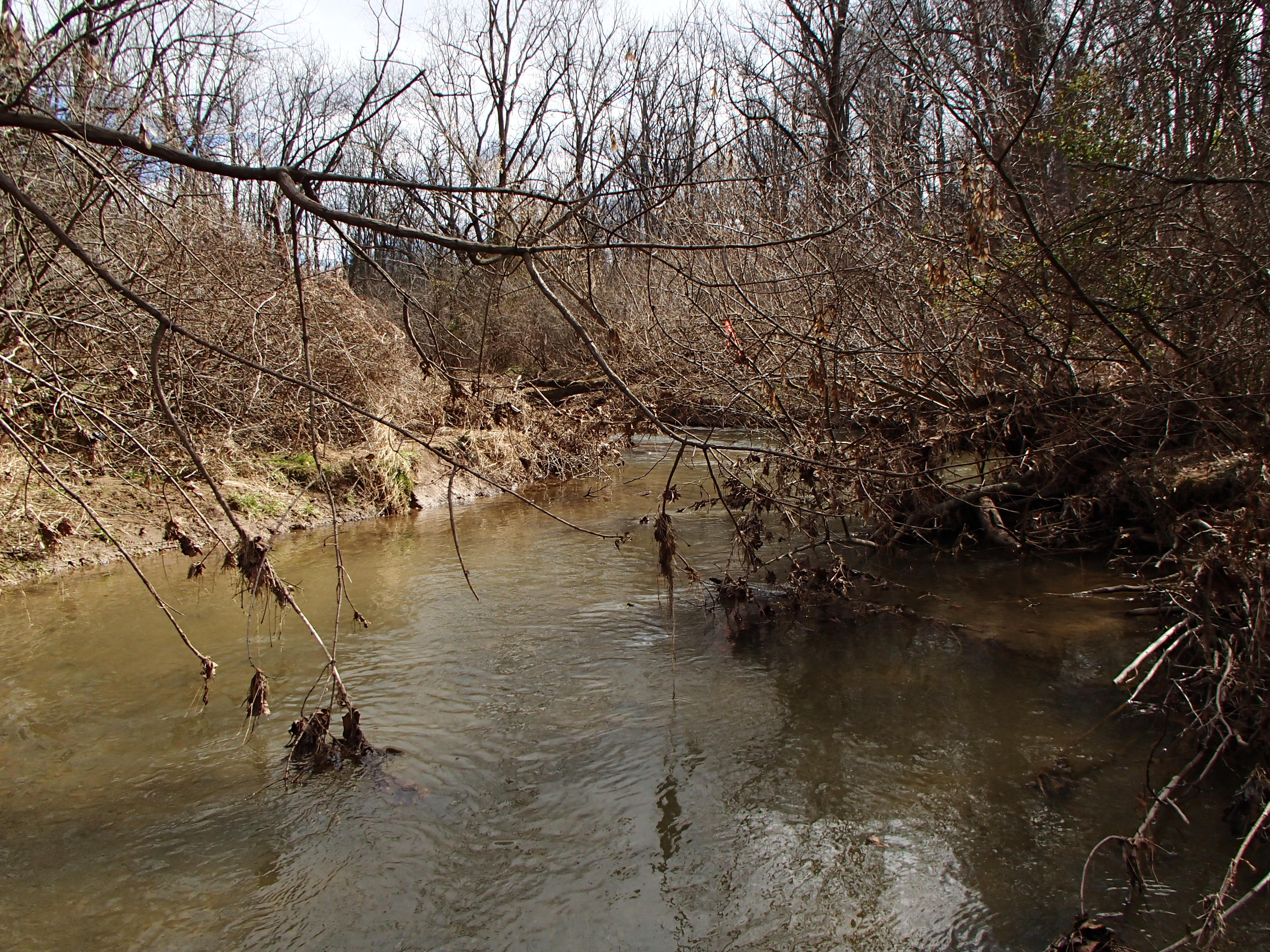 Field photo showing stream conditions at site DOUB-221-R-2016_midpoint looking upstream